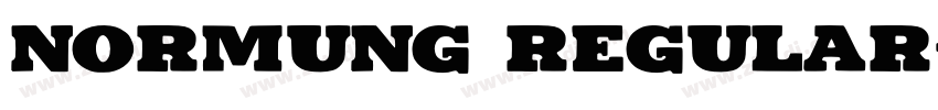 Normung Regular字体转换